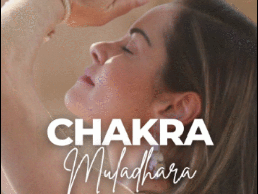 imagem_2025-12-05_173323297