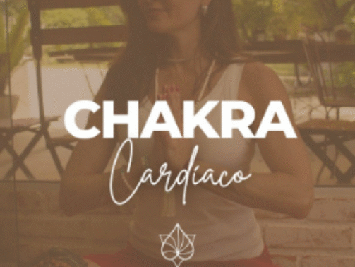 imagem_2025-12-05_175115060