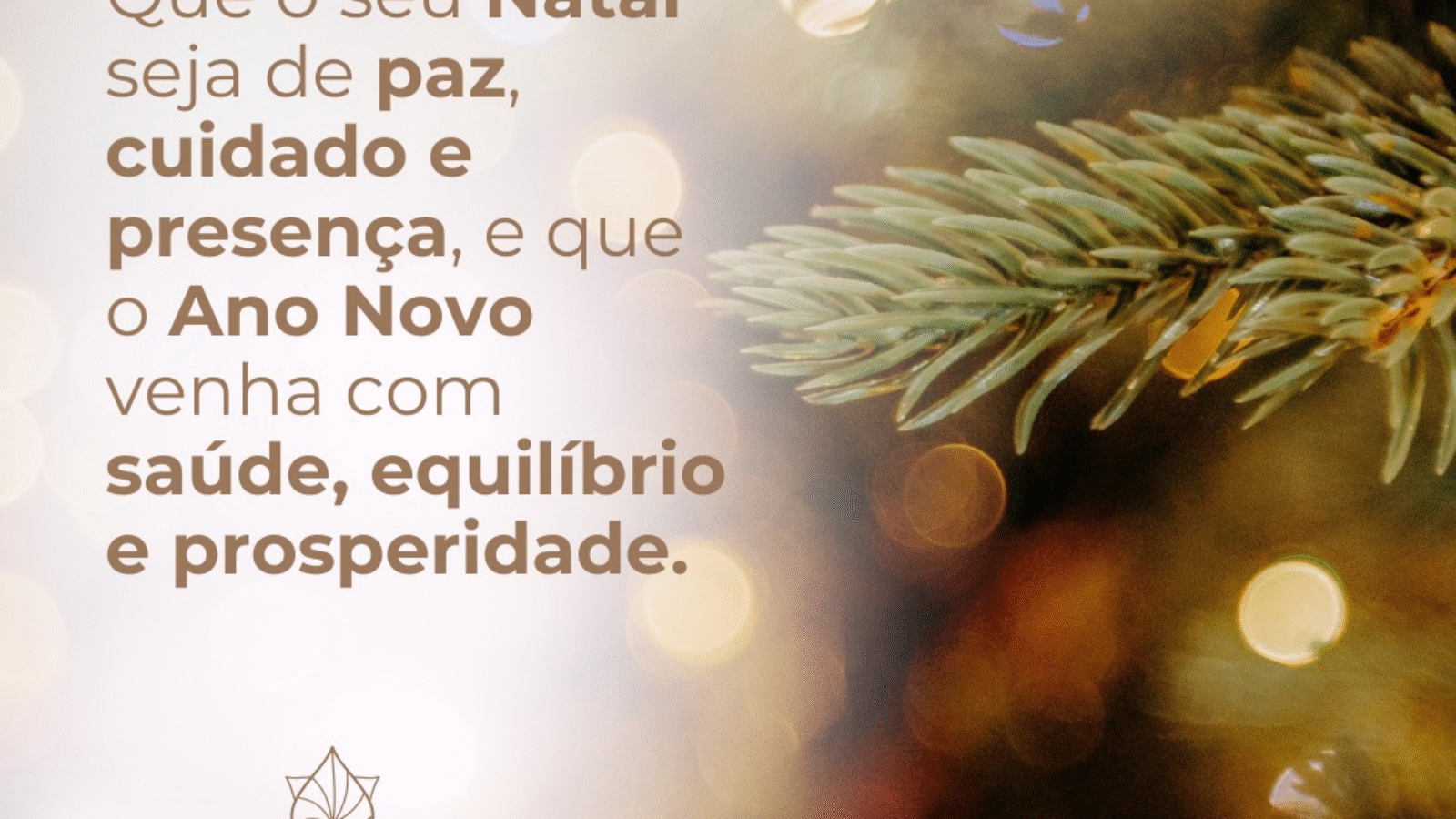 imagem_2026-02-02_104317491